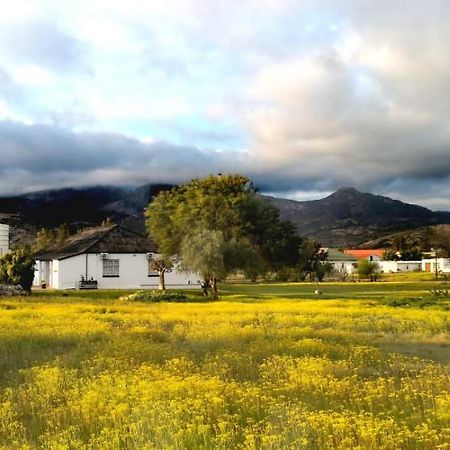 Harry'S Place Guesthouse Kamieskroon 외부 사진