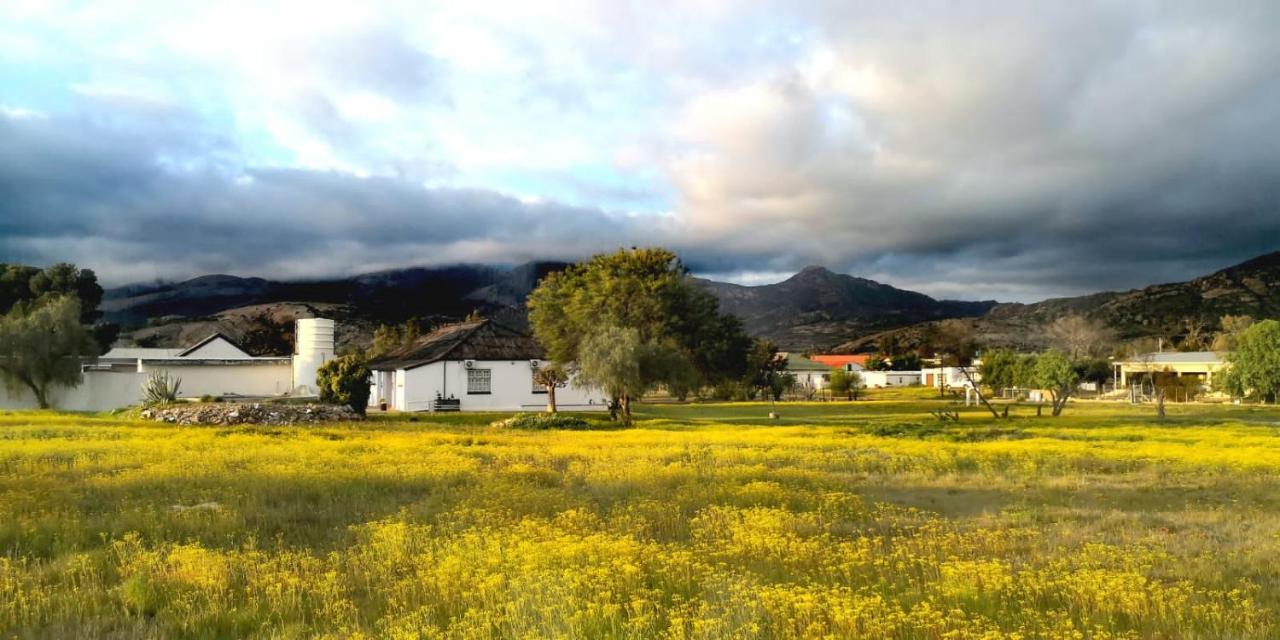 Harry'S Place Guesthouse Kamieskroon 외부 사진